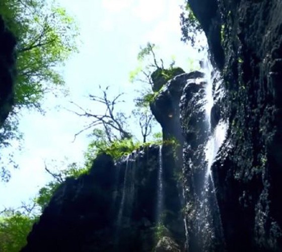 青山綠水，白龍江畔江畔息白鷺，兩岸綠橄欖入眼的都是純樸自然枝上花開(kāi)，春來(lái)水暖魚(yú)蝦戲水，鳥(niǎo)語(yǔ)花香心中充滿(mǎn)著舒暢之感祥宇生態(tài)產(chǎn)業(yè)園，位于隴南市武..